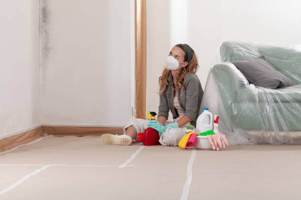 Reliable Mold Testing contractor in Frenchville, PA by WQB Mold Removal