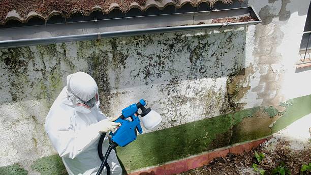 Top rated local Mold Testing specialists in Frenchville, PA
